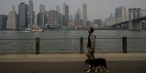mężczyzna spacerujący z psem podczas złej jakości powietrza