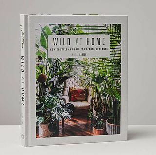 Wild in Home: Styl i pielęgnacja pięknych roślin