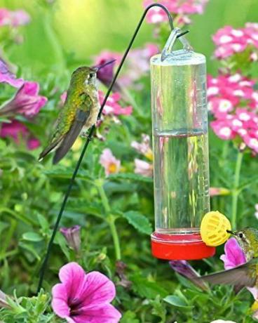 Wiszący karmnik dla kolibrów