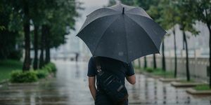 widok z tyłu inteligentnego przyczynowego mężczyzny trzymającego parasol i spacerującego po parku w deszczowym mieście miejskim