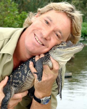 Krokodyl Hunter Steve Irwin