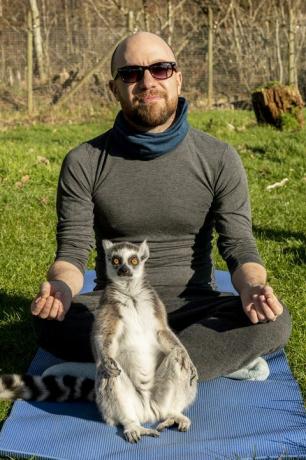 Joga z lemurami