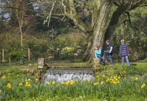 Dzieci bawiące się w ogrodzie wiosną w Mottisfont, Hampshire © National Trust Images James Dobson