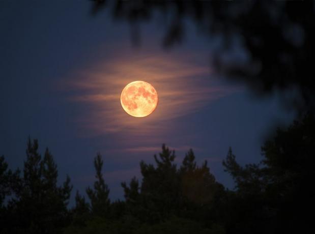 Co to jest księżyc myśliwego? Zgrabna historia październikowej pełni księżyca