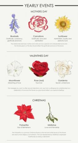 Infografika kwiat