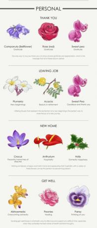 Infografika kwiat