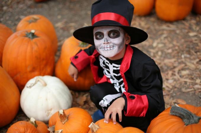 dzieci na halloween bawiące się cukierek albo psikus Chłopiec w kostiumie na halloween przedstawiający szkielet z kapeluszem i smocking między pomarańczowymi dyniami Halloween kids