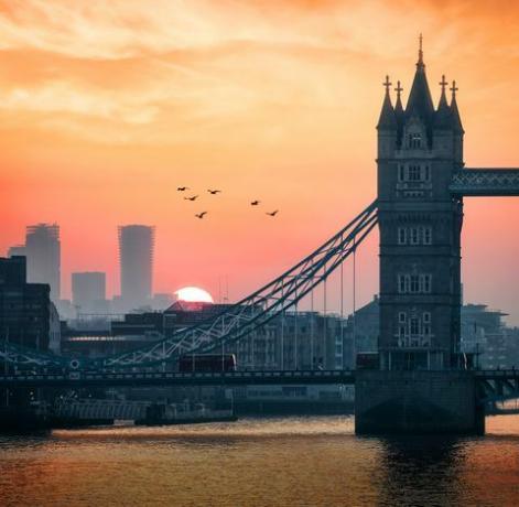 zbliżenie na tower bridge i panoramę londynu w wielkiej brytanii podczas wczesnego wschodu słońca