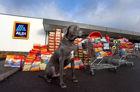 Aldi - Pet Event Range - jedzenie