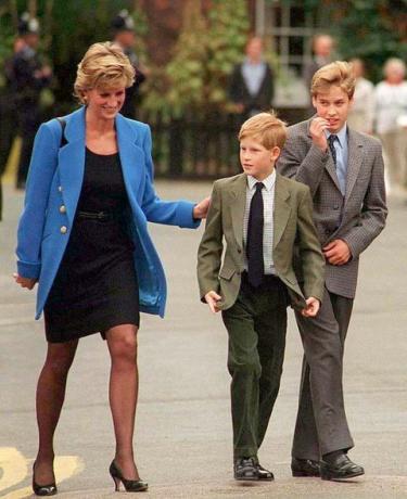 Książę William mówi, że on i książę Harry pozwalają księżnej Dianie zejść i nie mogą jej chronić w dokumencie BBC