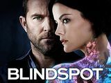 Blindspot