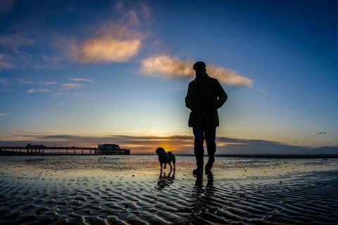Mężczyzna odprowadzenie z psem na piaskowatej plaży