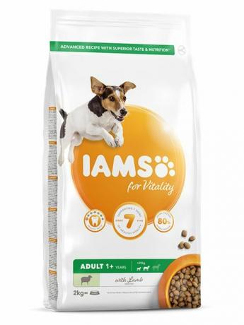 iams karma dla zwierząt