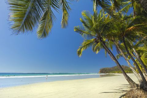 Plaża Kostaryki
