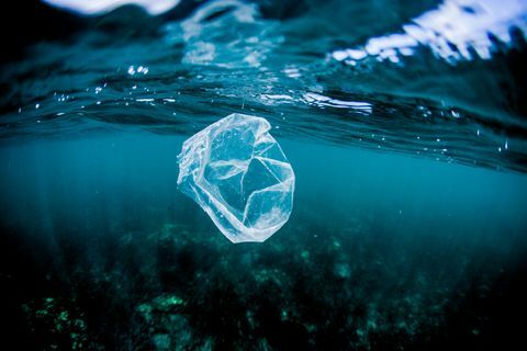 Plastikowa torba unosi się nad rafą w oceanie, Kostaryka