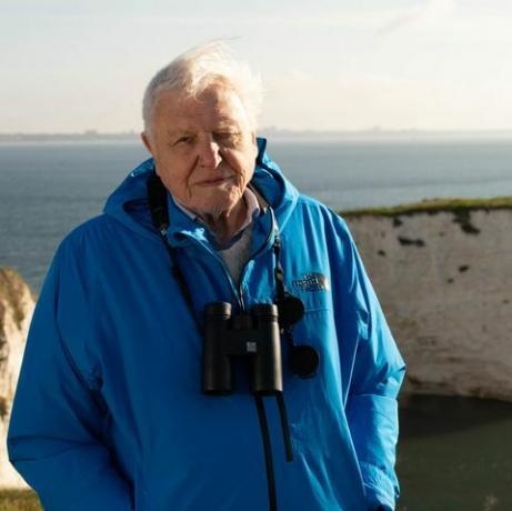 dzikie wyspy, 12 02 2023, nasze cenne wyspy, 1, sir david attenborough, sir david attenborough przedstawia serię dzikich wysp o świcie w starym harrys rocks, dorset, wielka brytania 2022, srebrne filmy, chris howard