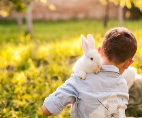 Chłopiec obejmuje jego królika w parku