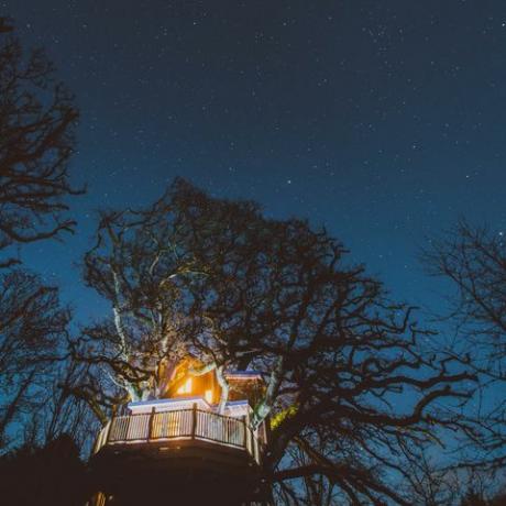 Treetops Treehouse - Devon - noc - Baldachim i gwiazdy