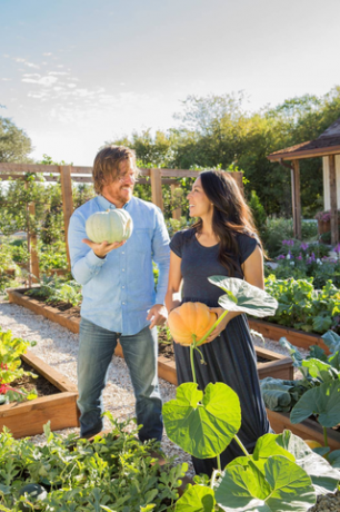 chip joanna gaines