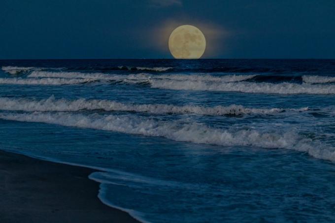 pełnia superksiężyca wschodząca nad oceanem w pobliżu Myrtle Beach w Południowej Karolinie