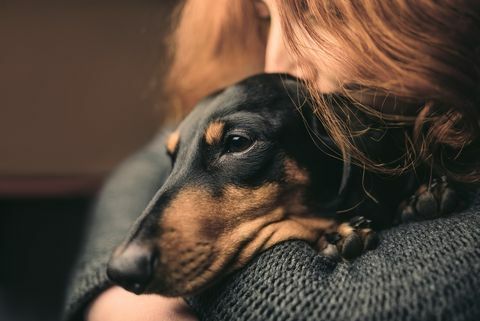 Portret rudowłosej kobiety, która ściska śpiącego czarnego psa, duchshunda.