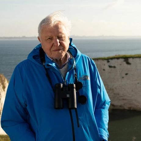 Wild Isles, 12 02 2023, nasze cenne wyspy, 1, Sir David Attenborough, Sir David Attenborough przedstawia serię Wild Isles o świcie w Old Harrys Rocks, Dorset, Wielka Brytania 2022, filmy Silverback, Chris Howard