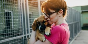 młoda kobieta adoptująca psa ze schroniska