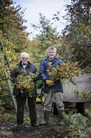 Holly Farmers