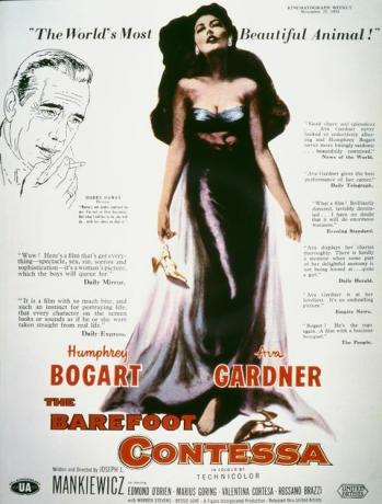 film boso contessa