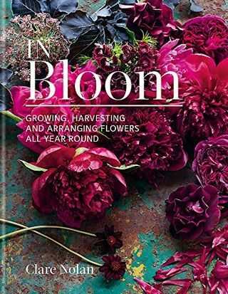 In Bloom: Uprawa, zbieranie i układanie kwiatów przez cały rok