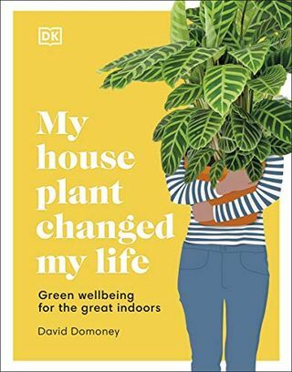 Moja roślina doniczkowa zmieniła moje życie: ekologiczne samopoczucie dla wspaniałych wnętrz
