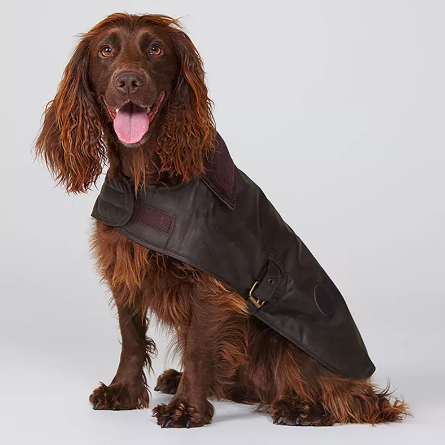 Woskowany płaszcz dla psa Barbour, ciemnobrązowy