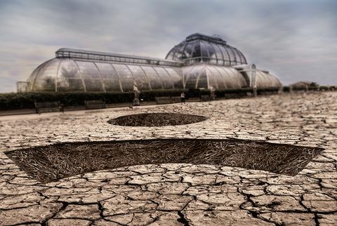 Obraz Kew Gardens świata bez pszczół