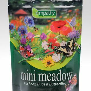 Zdjęcie Empathy Mini Meadow dla pszczół, robaków i motyli