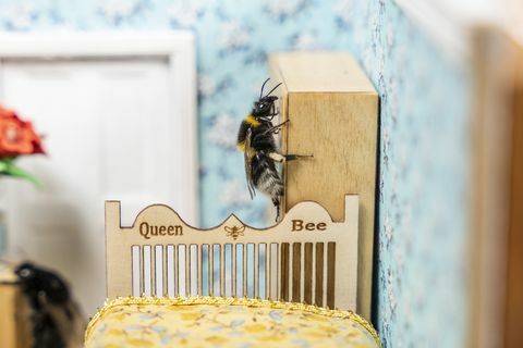 malutki dom starców dla pszczół pojawia się w Wielkiej Brytanii z bardzo dobrego powodu