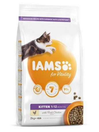 iams karma dla zwierząt