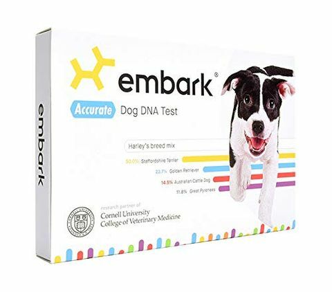 Oferta zestawu DNA Embark Dog na Amazon Prime Day to umowa błyskawicy