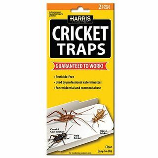 Harris Cricket Glue Traps