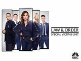 Prawo i porządek: SVU Sezon 20