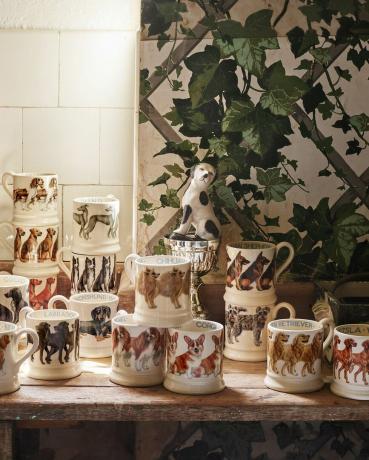 Emma Bridgewater wprowadza na rynek wybieg dla psów