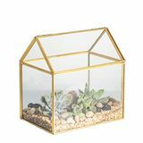 Terrarium Blat House