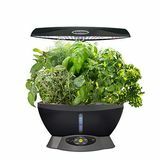 Zestaw do strugania nasion AeroGarden i ziół