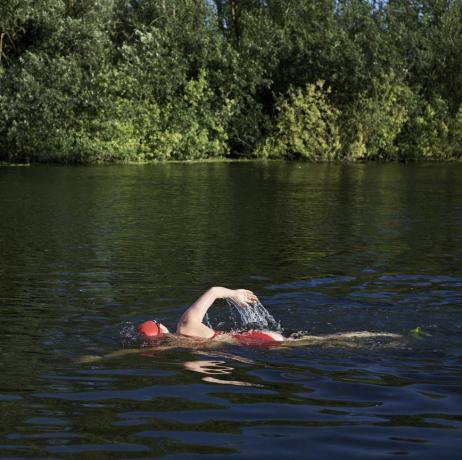 wielka brytania, bedfordshire, wielki barford, rzeka wielka ouse, dzika pływaczka pływająca w rzece