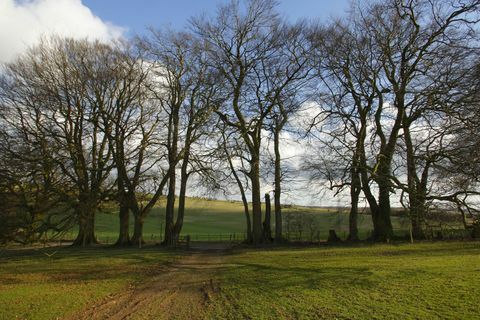 Watership Down - Basingstoke