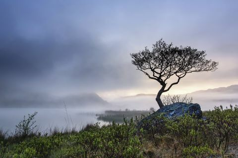 Zwycięzca podręcznika, George Evans, Llyn Dinas, Craflwyn i Beddgelert