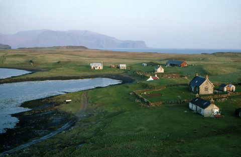 wyspa canna