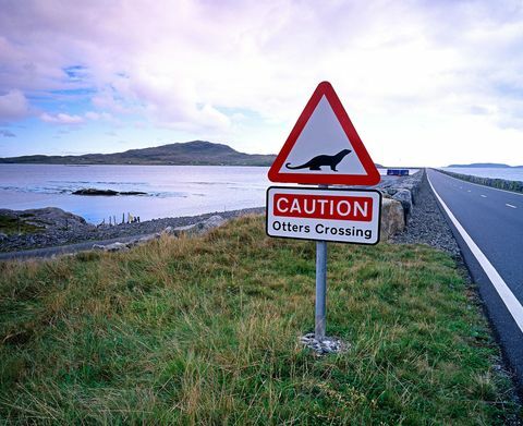 znak drogowy wydry