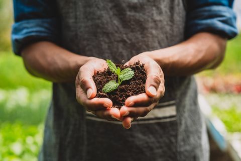 Natura wytwarza dla nas tyle piękna