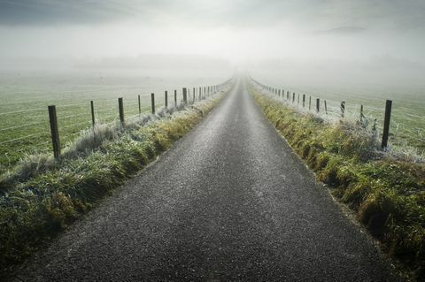 mgła wiejska droga