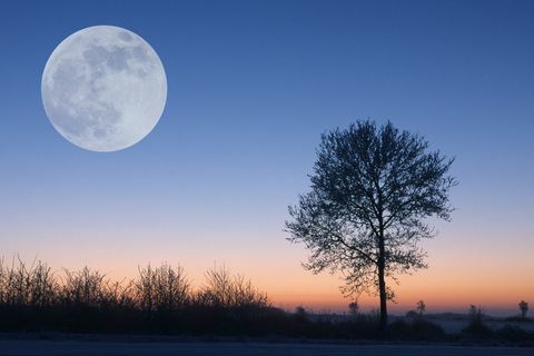 Frost Moon